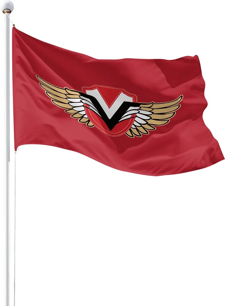 Vantage Auto Group, the identity in use