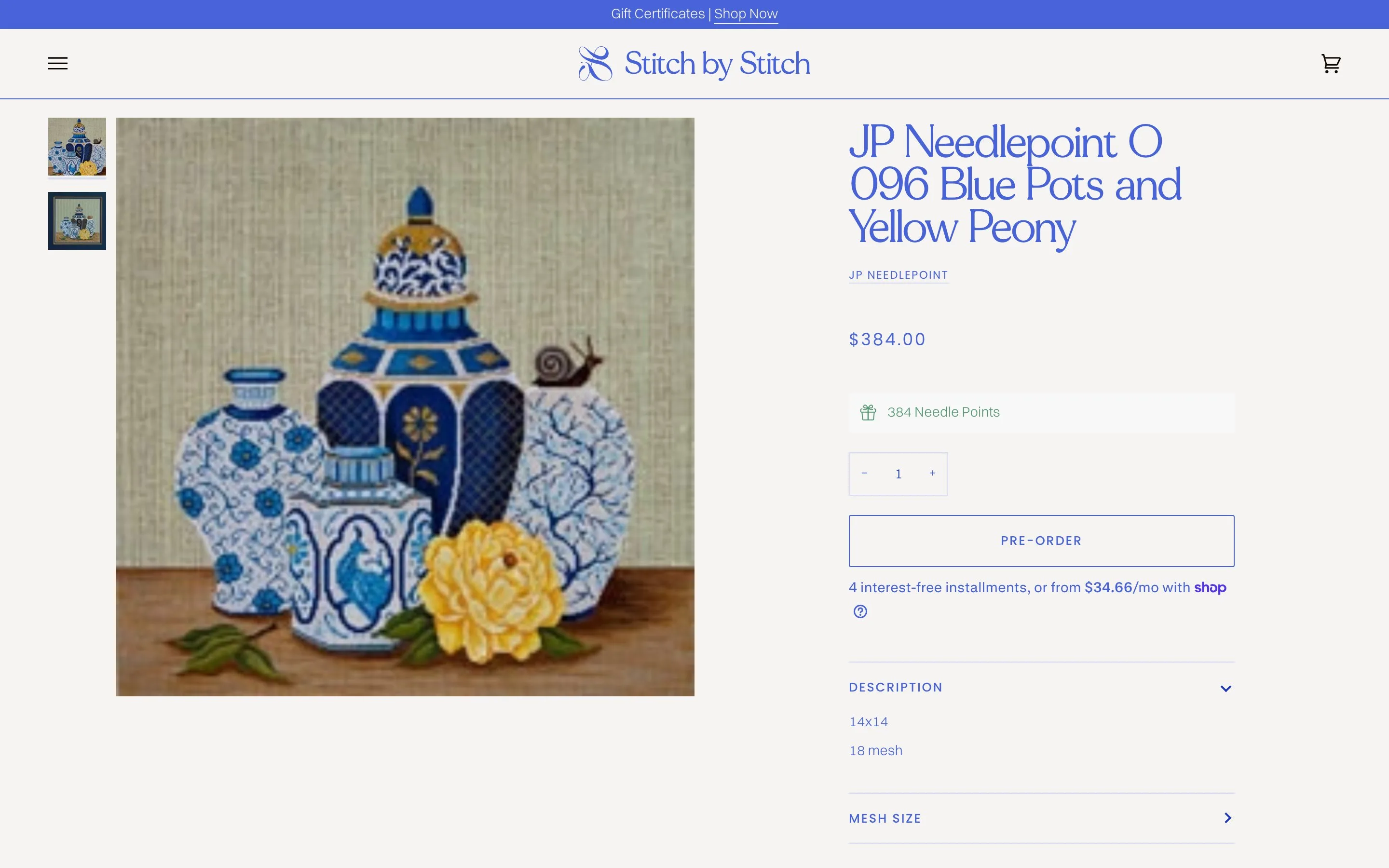 Stitch by Stitch website: A canvas